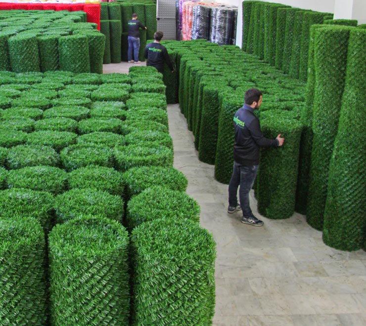 продукт Wallgrass2