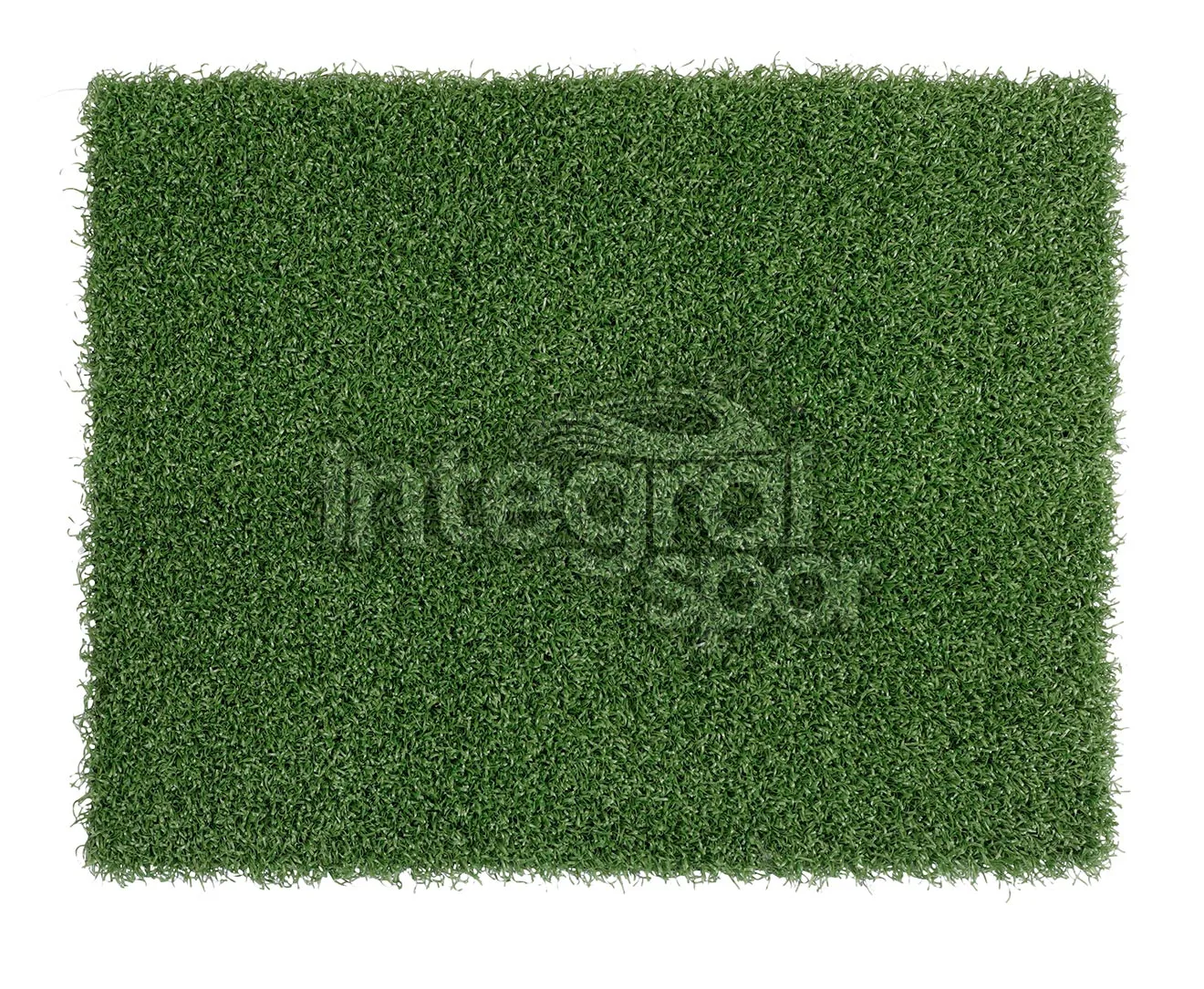 Golf Grass