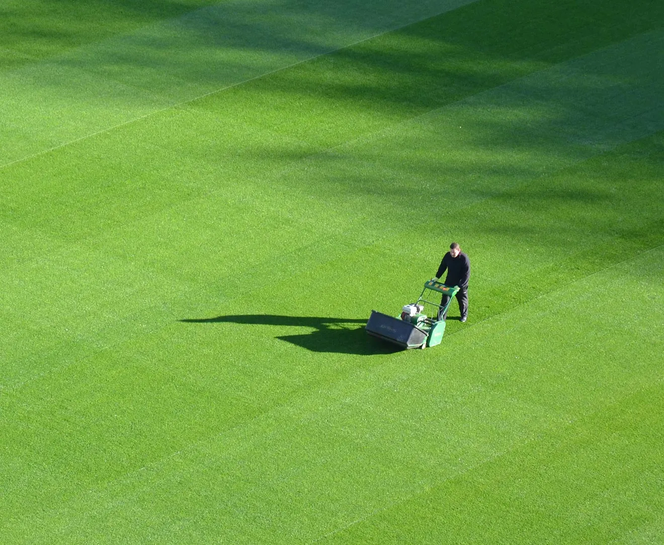 Natural Grass