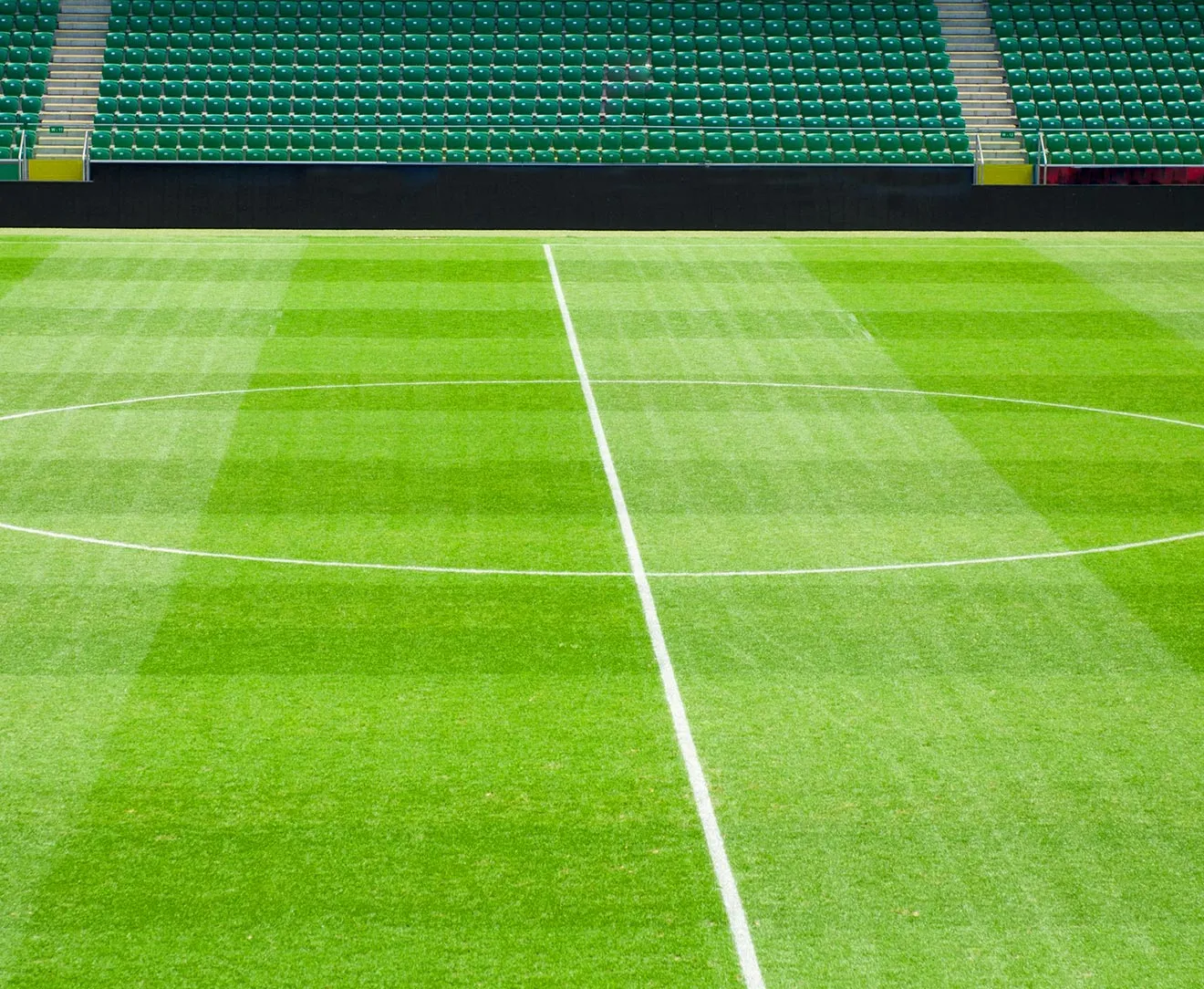 Natural Grass