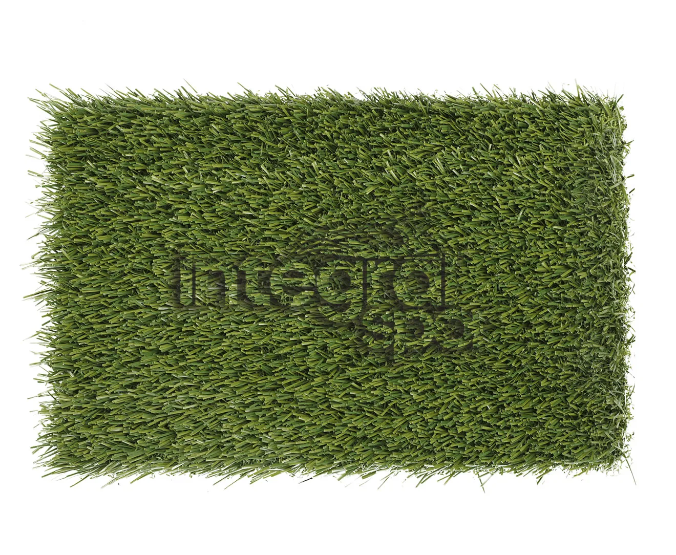 Non-Infill Artificial Turf