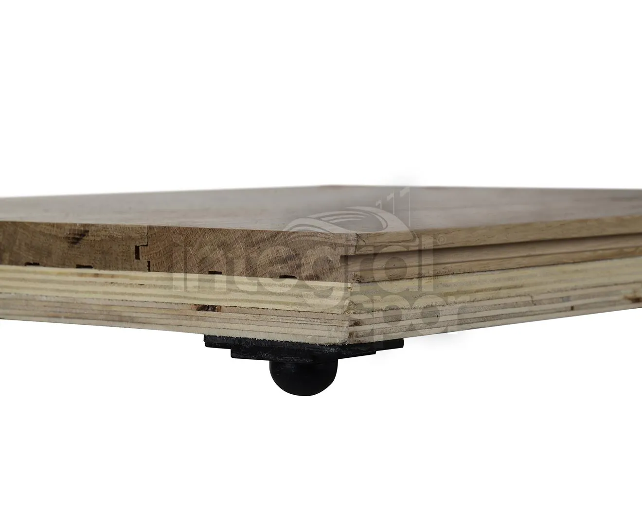 Sports Parquet