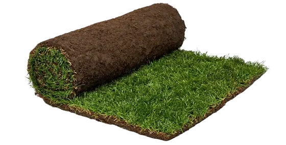 Натуральная Трава