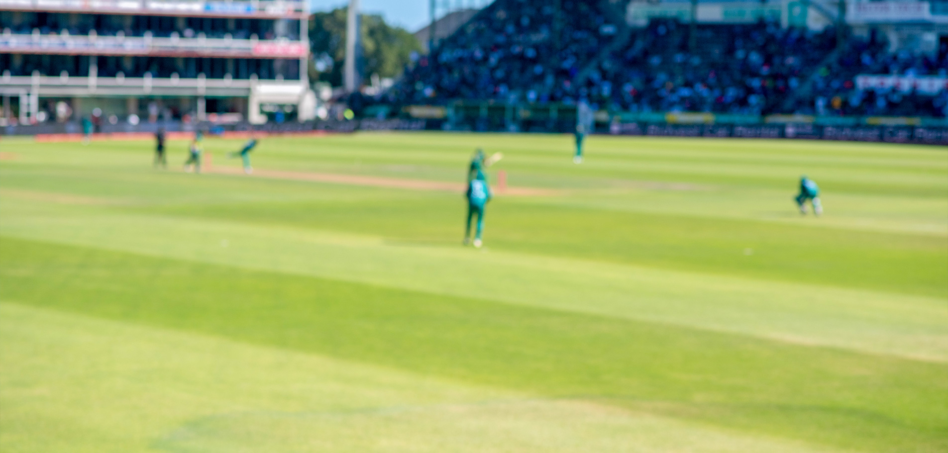 Крикетное Поле