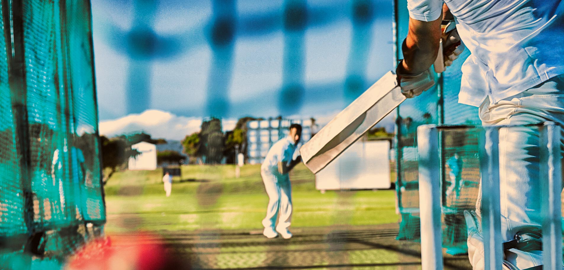 Крикетное Поле