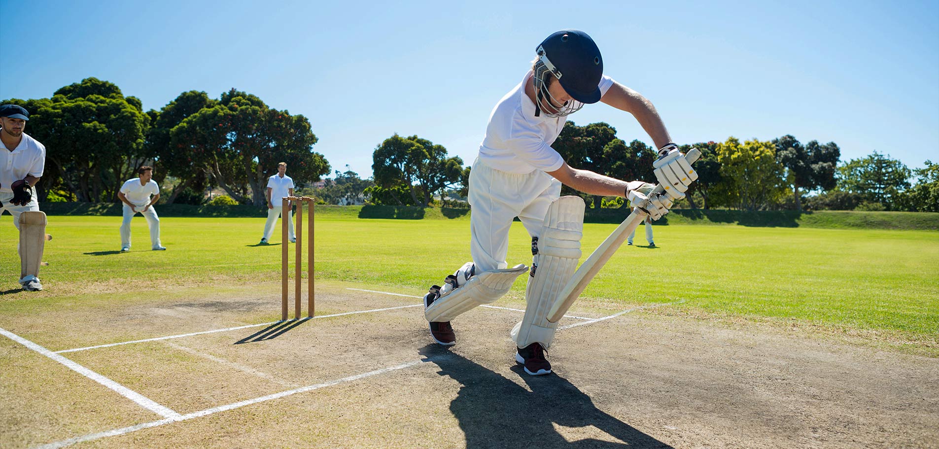 Крикетное поле 1