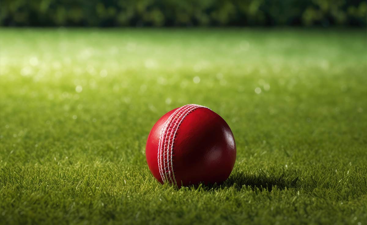 Крикетные поля 1?>