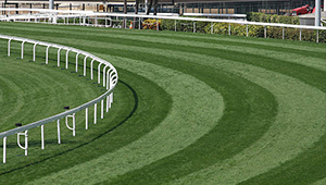 Дневной/Ночной режим работы