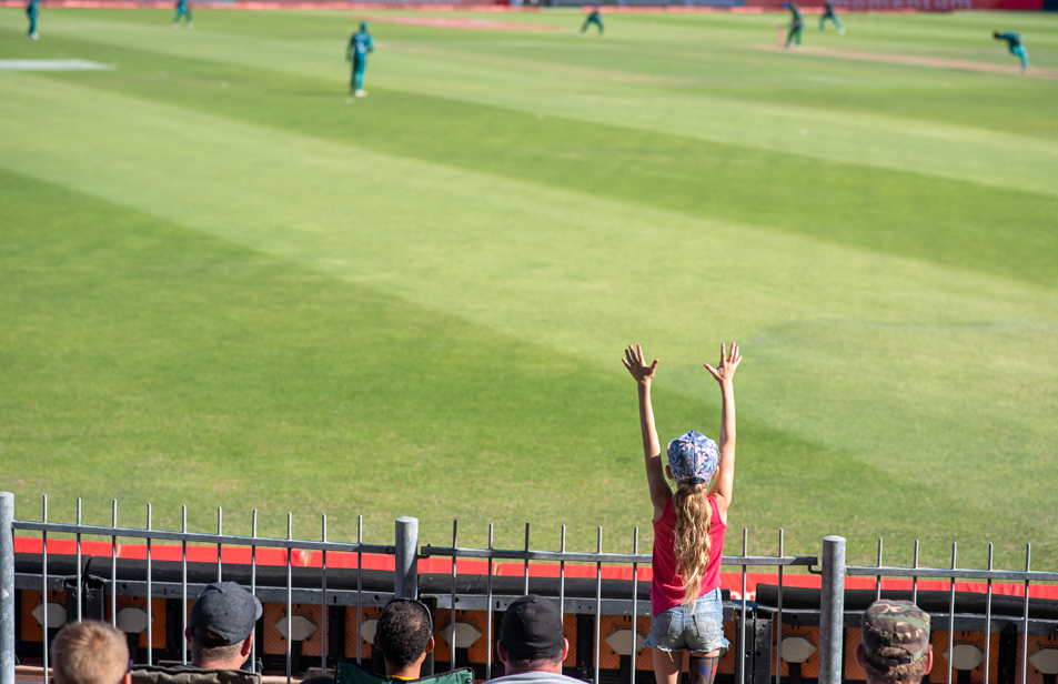 Профессиональное Проектирование В Области