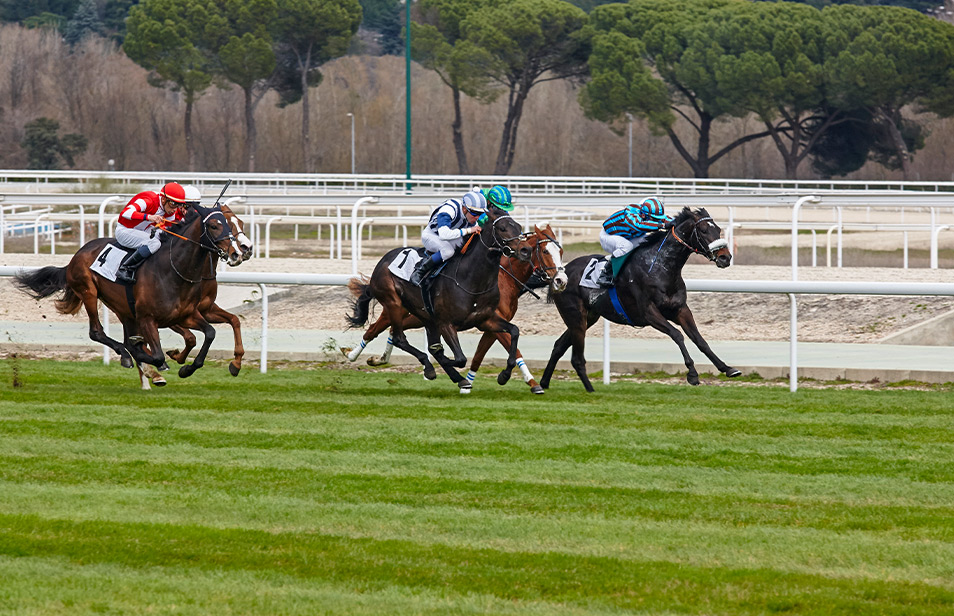 Различные Варианты Основания 2