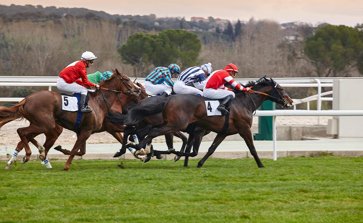 Скаковые ипподромы?>