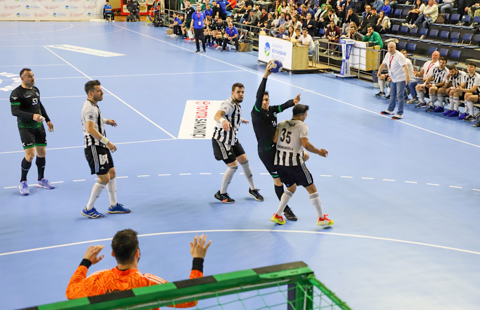 Стандарты IHF